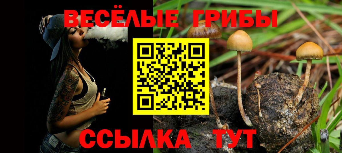 Галлюциногенные грибы MAGIC MUSHROOMS Волжский