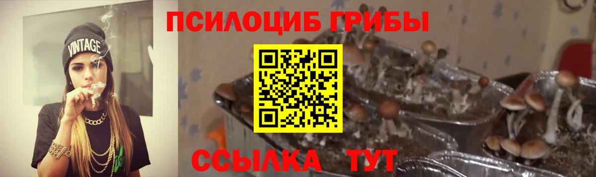 Галлюциногенные грибы мухоморы  Вход с VPN  Волжский 